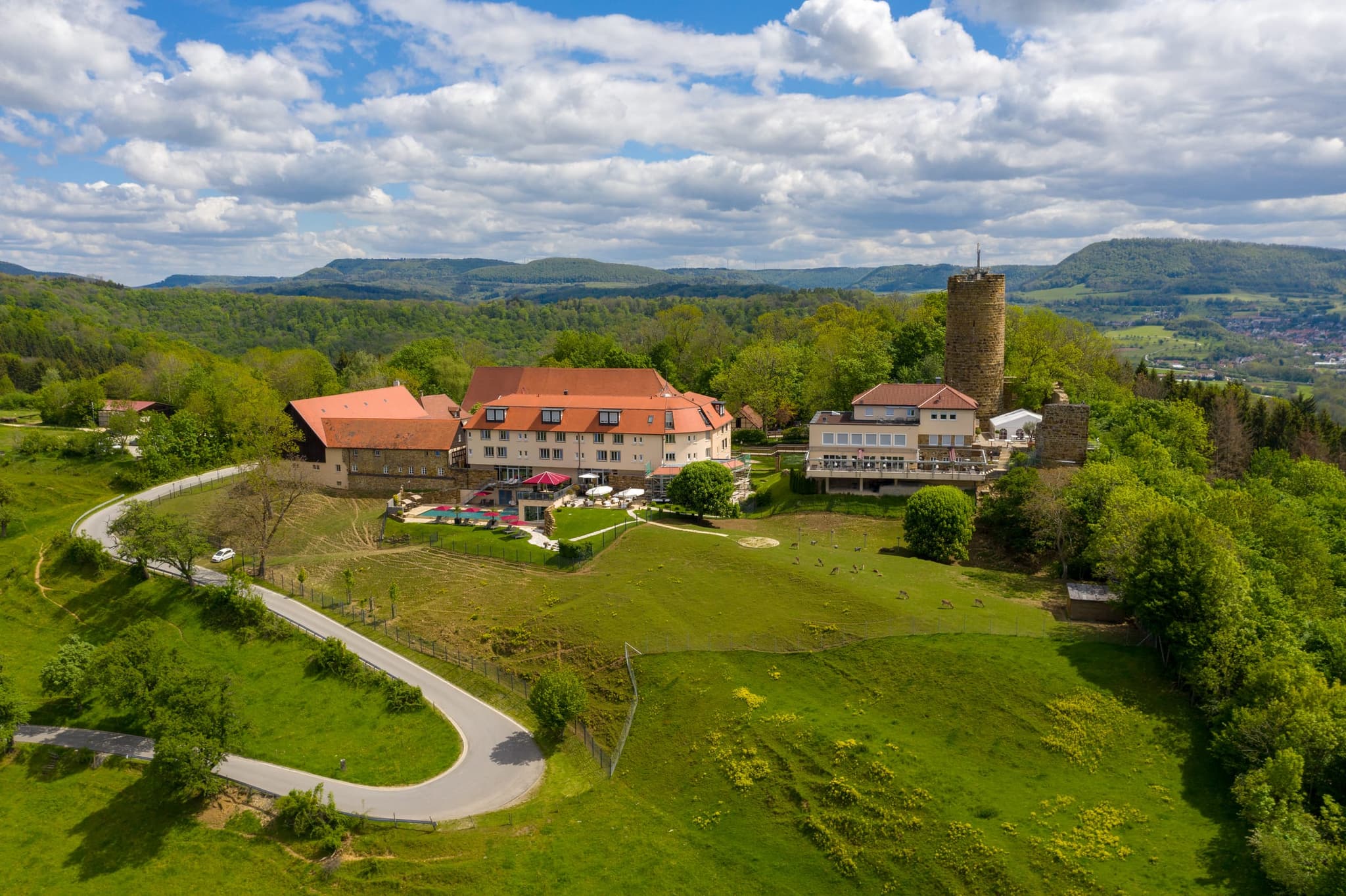 Das Ensemble aus größerer Höhe, mit geschwungener Zufahrtsstraße und Wildgehege auf der Wiese davor