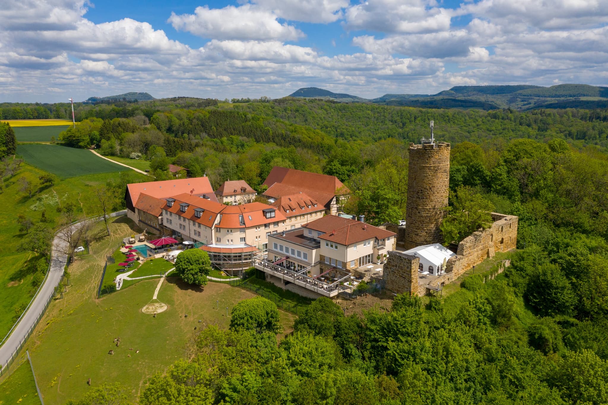 Burg Staufeneck von Norden, mit Bergfried, Ruinenmauer und weißem Festzelt; links ein blühendes Rapsfeld