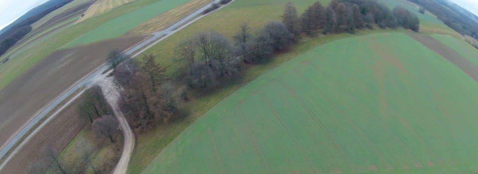 Weitwinkelaufnahme im Winter: die Baumreihe entlang des Burrengrabens, links Landstraße und Feldweg, rechts Wiesen
